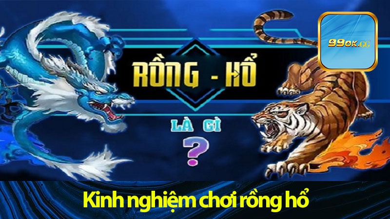 Kinh nghiệm chơi rồng hổ